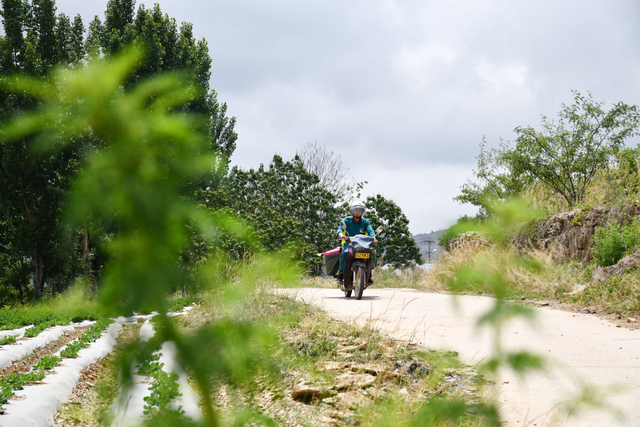 山东临沂:邮递员7年帮19位无名烈士“回家”休闲区蓝鸢梦想 - Www.slyday.coM 山东临沂:邮递员7年帮19位无名烈士“回家”休闲区蓝鸢梦想 - Www.slyday.coM
