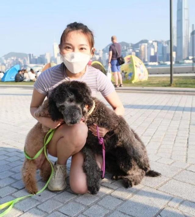 挨打赢得美人归?TVB小生疑与富贵主播恋情曝光,曾疑争女被打伤休闲区蓝鸢梦想 - Www.slyday.coM 挨打赢得美人归?TVB小生疑与富贵主播恋情曝光,曾疑争女被打伤休闲区蓝鸢梦想 - Www.slyday.coM