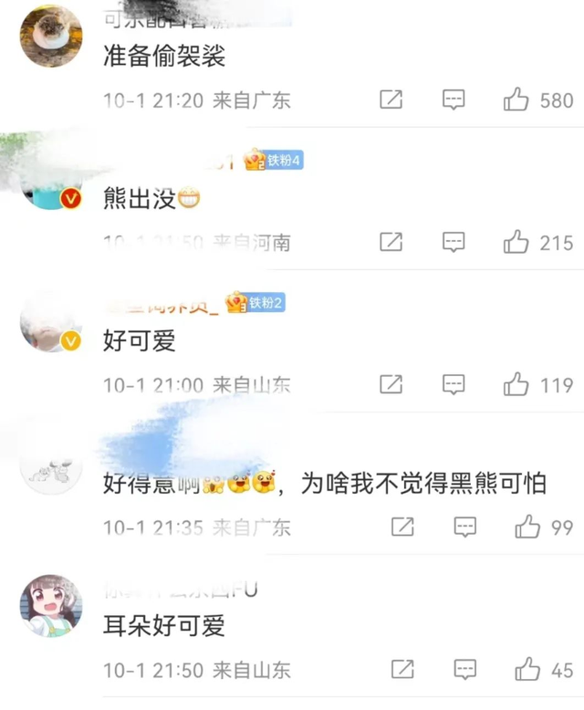 重庆拍到黑熊一家三口林中漫步,临走时不忘跟镜头“说再见”休闲区蓝鸢梦想 - Www.slyday.coM 重庆拍到黑熊一家三口林中漫步,临走时不忘跟镜头“说再见”休闲区蓝鸢梦想 - Www.slyday.coM