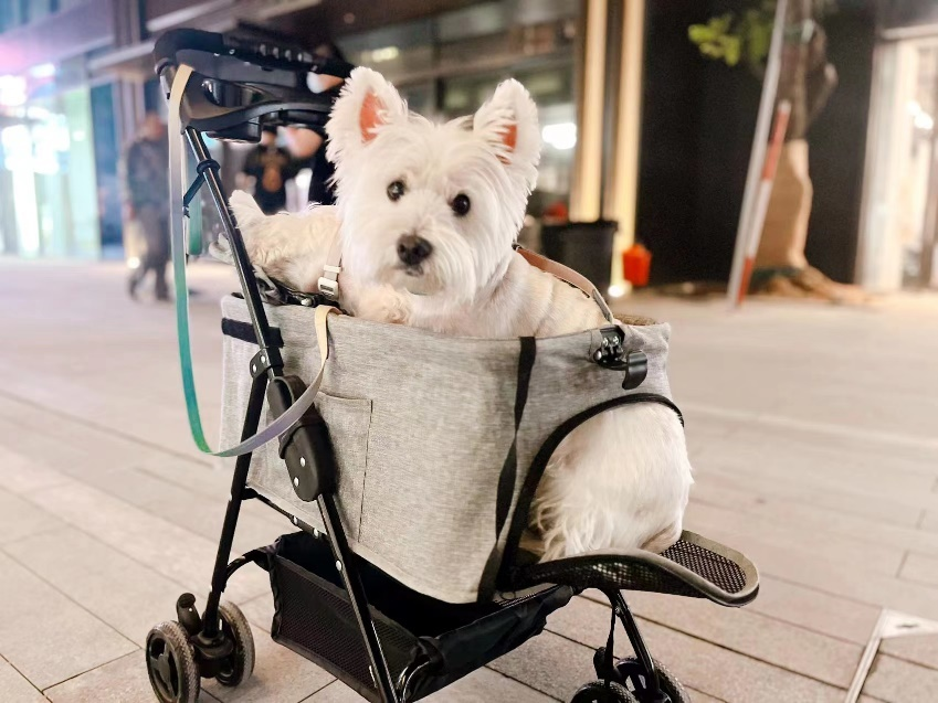 据说潮人们都去打卡了这个南京新地标—— “Mall+街区+古建”的万象天地有点摆!休闲区蓝鸢梦想 - Www.slyday.coM 据说潮人们都去打卡了这个南京新地标—— “Mall+街区+古建”的万象天地有点摆!休闲区蓝鸢梦想 - Www.slyday.coM