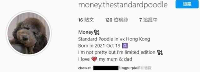 挨打赢得美人归?TVB小生疑与富贵主播恋情曝光,曾疑争女被打伤休闲区蓝鸢梦想 - Www.slyday.coM 挨打赢得美人归?TVB小生疑与富贵主播恋情曝光,曾疑争女被打伤休闲区蓝鸢梦想 - Www.slyday.coM