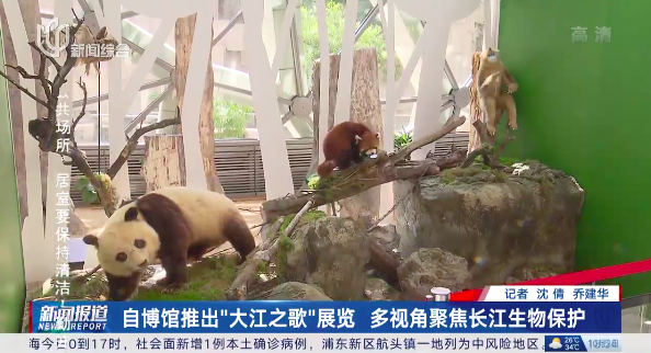 上海一热门地7天门票已售罄,多地景区游客达最高承载量,停止预约、暂停开放休闲区蓝鸢梦想 - Www.slyday.coM 上海一热门地7天门票已售罄,多地景区游客达最高承载量,停止预约、暂停开放休闲区蓝鸢梦想 - Www.slyday.coM