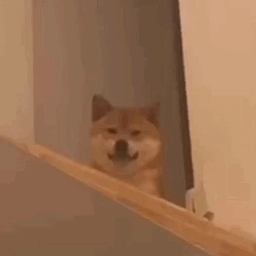 “我带别人老婆住宾馆,可以不实名登记吗?!”别说你了,畜生来了也得登记啊哈哈哈哈休闲区蓝鸢梦想 - Www.slyday.coM “我带别人老婆住宾馆,可以不实名登记吗?!”别说你了,畜生来了也得登记啊哈哈哈哈休闲区蓝鸢梦想 - Www.slyday.coM