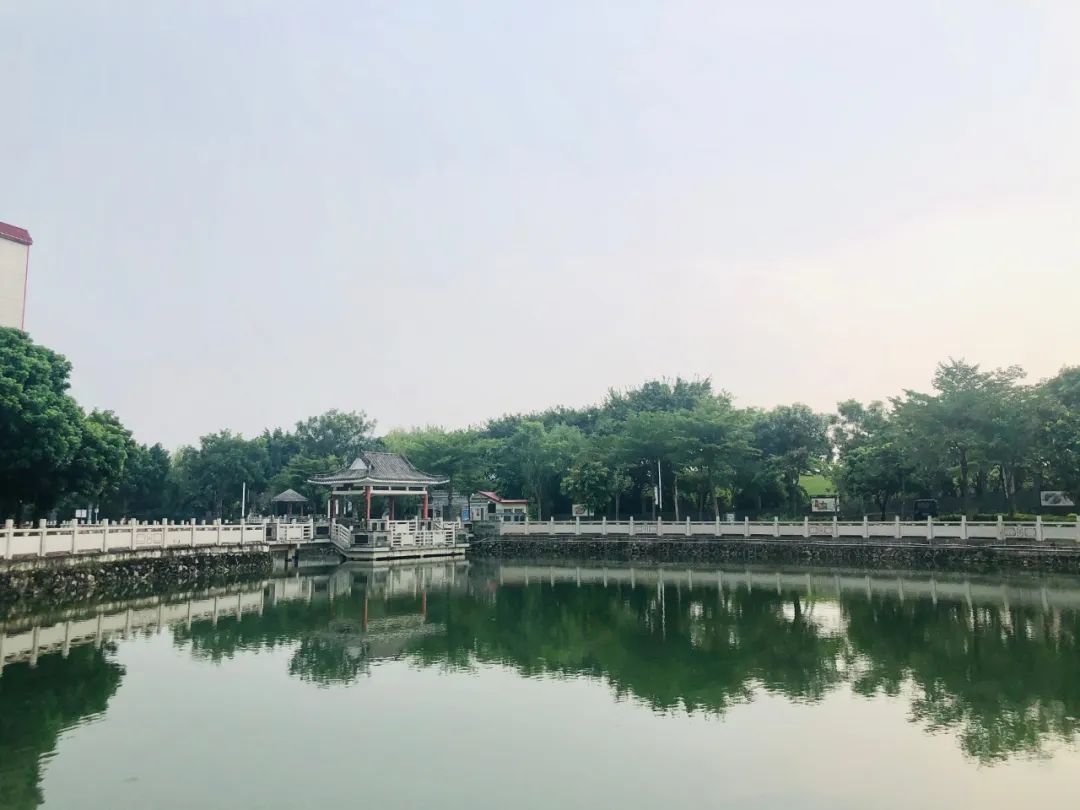 唐舜梅:在紫南遇见更好的自己~休闲区蓝鸢梦想 - Www.slyday.coM 唐舜梅:在紫南遇见更好的自己~休闲区蓝鸢梦想 - Www.slyday.coM