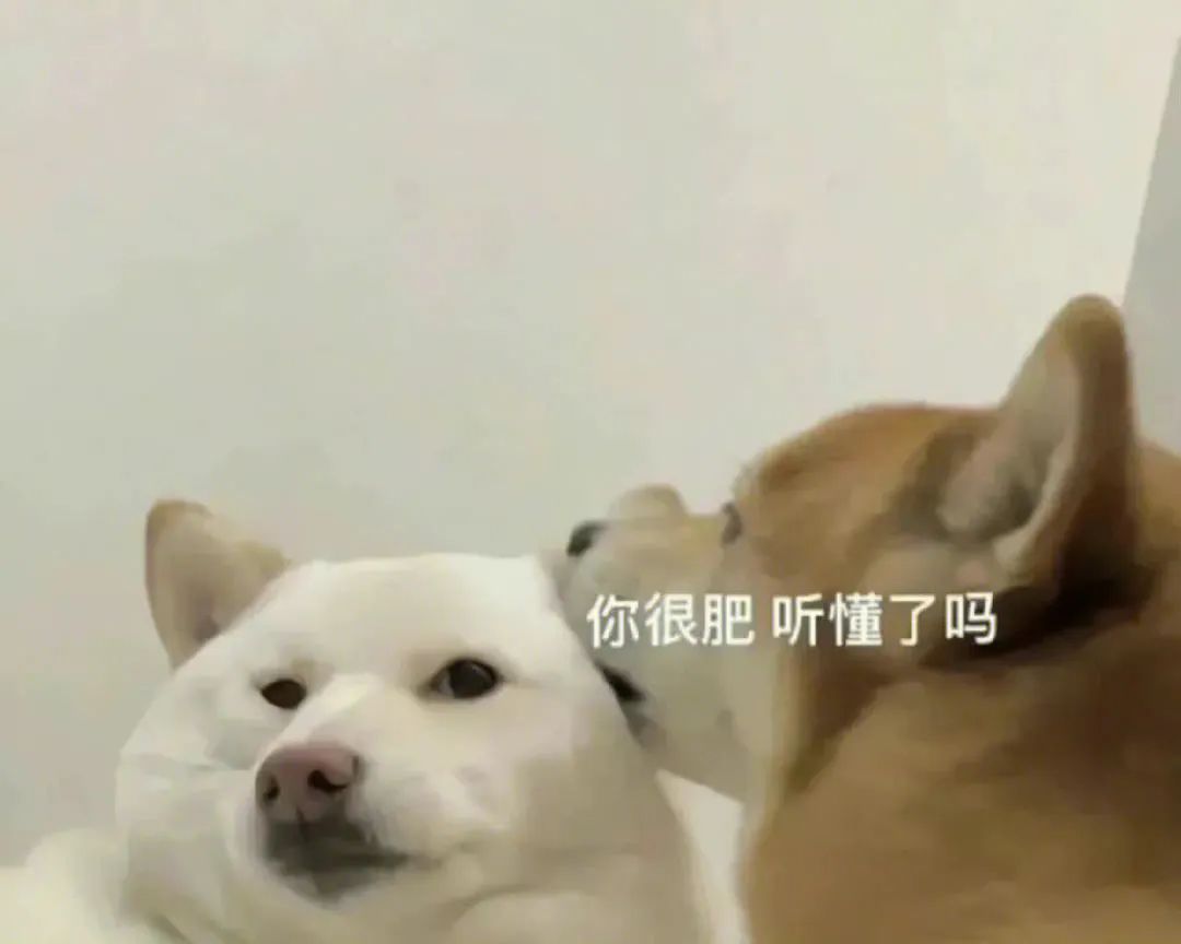 “我带别人老婆住宾馆,可以不实名登记吗?!”别说你了,畜生来了也得登记啊哈哈哈哈休闲区蓝鸢梦想 - Www.slyday.coM “我带别人老婆住宾馆,可以不实名登记吗?!”别说你了,畜生来了也得登记啊哈哈哈哈休闲区蓝鸢梦想 - Www.slyday.coM