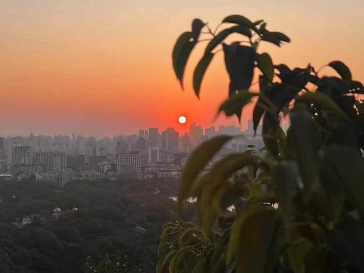 西湖边看日出有多热闹?宝石山上“长满了人”……休闲区蓝鸢梦想 - Www.slyday.coM 西湖边看日出有多热闹?宝石山上“长满了人”……休闲区蓝鸢梦想 - Www.slyday.coM