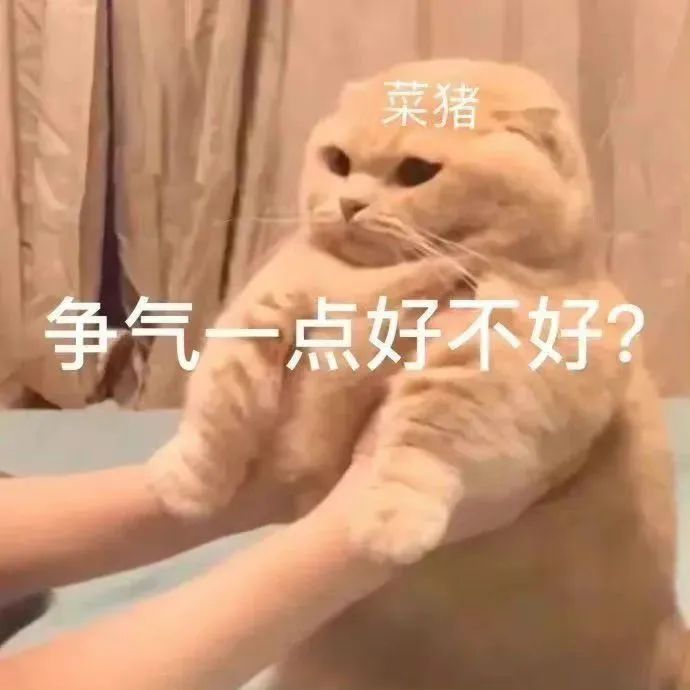 “我带别人老婆住宾馆,可以不实名登记吗?!”别说你了,畜生来了也得登记啊哈哈哈哈休闲区蓝鸢梦想 - Www.slyday.coM “我带别人老婆住宾馆,可以不实名登记吗?!”别说你了,畜生来了也得登记啊哈哈哈哈休闲区蓝鸢梦想 - Www.slyday.coM