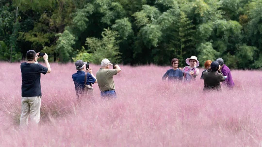 上海一热门地7天门票已售罄,多地景区游客达最高承载量,停止预约、暂停开放休闲区蓝鸢梦想 - Www.slyday.coM 上海一热门地7天门票已售罄,多地景区游客达最高承载量,停止预约、暂停开放休闲区蓝鸢梦想 - Www.slyday.coM