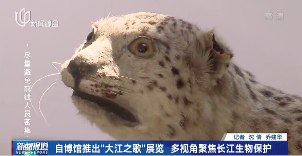 上海一热门地7天门票已售罄,多地景区游客达最高承载量,停止预约、暂停开放休闲区蓝鸢梦想 - Www.slyday.coM 上海一热门地7天门票已售罄,多地景区游客达最高承载量,停止预约、暂停开放休闲区蓝鸢梦想 - Www.slyday.coM