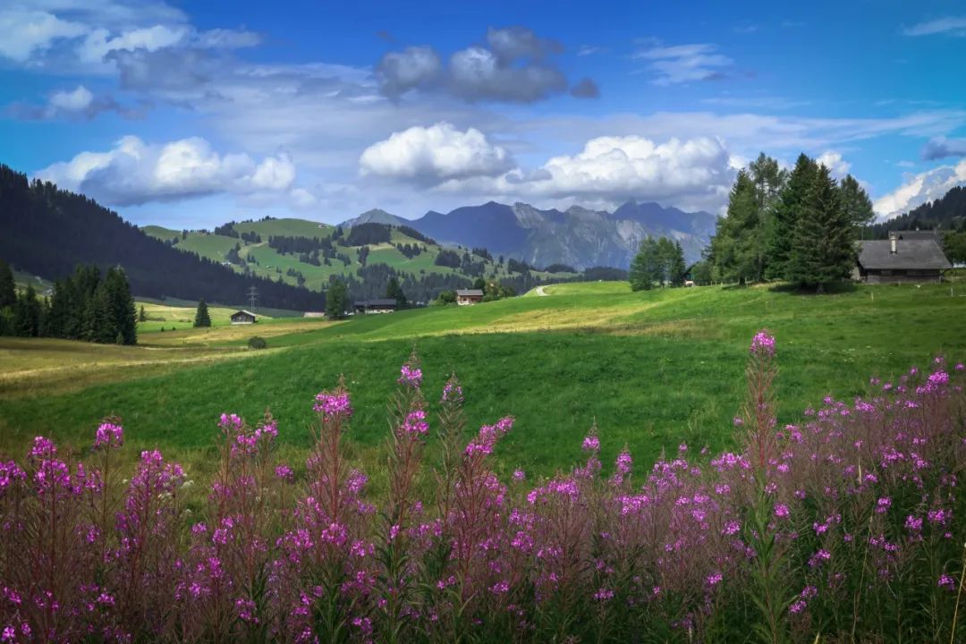 故事:儿子百日宴,丈母娘偷偷给我儿子改了姓,让我拿100万换儿子的冠姓权休闲区蓝鸢梦想 - Www.slyday.coM 故事:儿子百日宴,丈母娘偷偷给我儿子改了姓,让我拿100万换儿子的冠姓权休闲区蓝鸢梦想 - Www.slyday.coM
