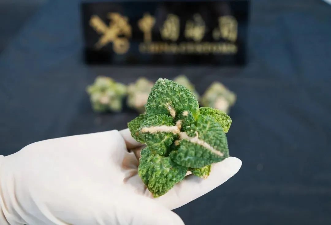 女子带外形奇特“小东西”被扣?官方通报:这是不对的!休闲区蓝鸢梦想 - Www.slyday.coM 女子带外形奇特“小东西”被扣?官方通报:这是不对的!休闲区蓝鸢梦想 - Www.slyday.coM