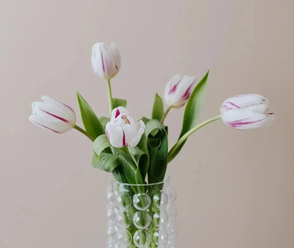 什么样的人值得深交?(深度好文)休闲区蓝鸢梦想 - Www.slyday.coM 什么样的人值得深交?(深度好文)休闲区蓝鸢梦想 - Www.slyday.coM