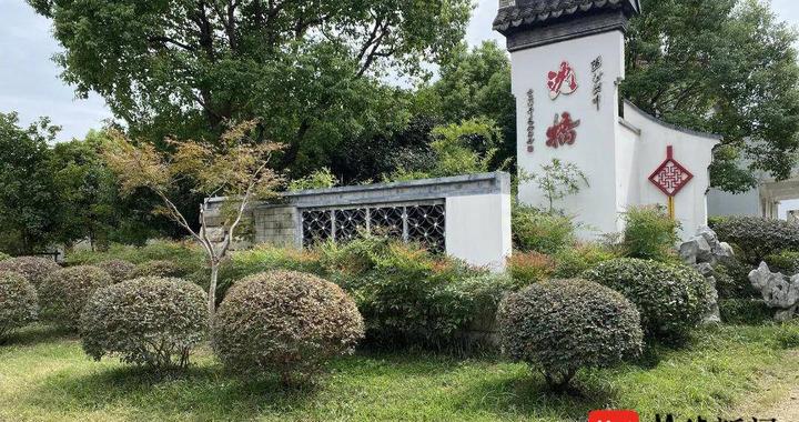 苏州太平街道沈桥村:标本兼治,打造美丽宜居新家园|苏州市|江苏省|整改|人居环境|环境_新浪新闻