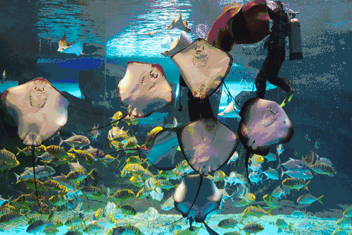 雨过天晴,与你相遇,泉城欧乐堡快乐假期上线休闲区蓝鸢梦想 - Www.slyday.coM 雨过天晴,与你相遇,泉城欧乐堡快乐假期上线休闲区蓝鸢梦想 - Www.slyday.coM