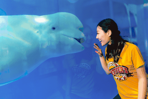 雨过天晴,与你相遇,泉城欧乐堡快乐假期上线休闲区蓝鸢梦想 - Www.slyday.coM 雨过天晴,与你相遇,泉城欧乐堡快乐假期上线休闲区蓝鸢梦想 - Www.slyday.coM