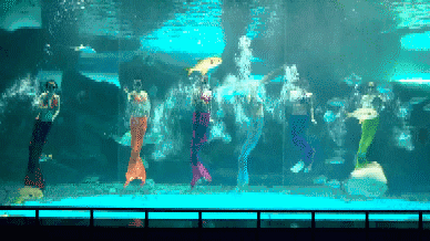 雨过天晴,与你相遇,泉城欧乐堡快乐假期上线休闲区蓝鸢梦想 - Www.slyday.coM 雨过天晴,与你相遇,泉城欧乐堡快乐假期上线休闲区蓝鸢梦想 - Www.slyday.coM