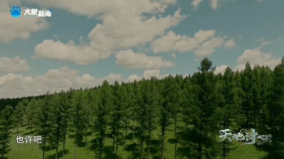 明晚见!《天地诗心》邀你与大地共歌,与山河共舞休闲区蓝鸢梦想 - Www.slyday.coM 明晚见!《天地诗心》邀你与大地共歌,与山河共舞休闲区蓝鸢梦想 - Www.slyday.coM