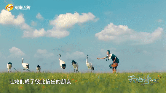 明晚见!《天地诗心》邀你与大地共歌,与山河共舞休闲区蓝鸢梦想 - Www.slyday.coM 明晚见!《天地诗心》邀你与大地共歌,与山河共舞休闲区蓝鸢梦想 - Www.slyday.coM