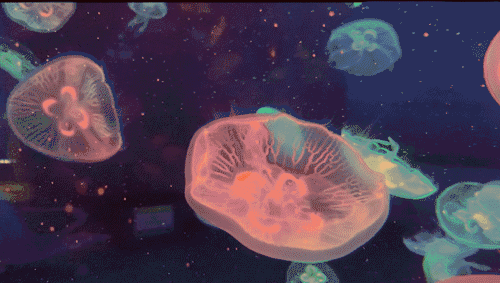 雨过天晴,与你相遇,泉城欧乐堡快乐假期上线休闲区蓝鸢梦想 - Www.slyday.coM 雨过天晴,与你相遇,泉城欧乐堡快乐假期上线休闲区蓝鸢梦想 - Www.slyday.coM