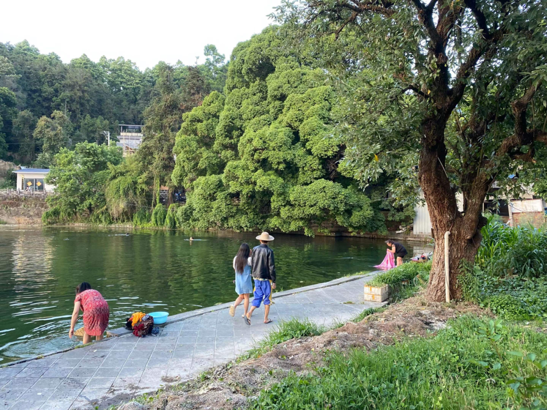 我去了中国最北的地方,吃了碗咸豆腐脑辣子配香菜休闲区蓝鸢梦想 - Www.slyday.coM 我去了中国最北的地方,吃了碗咸豆腐脑辣子配香菜休闲区蓝鸢梦想 - Www.slyday.coM
