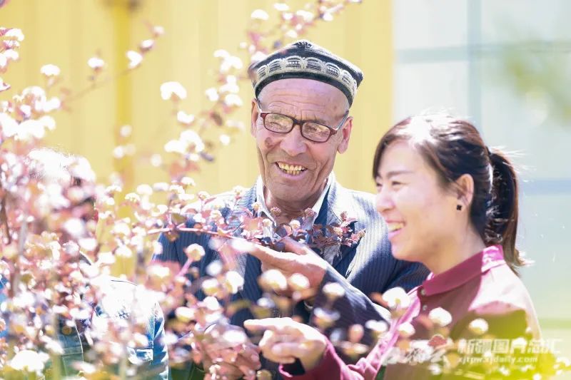 “奋进新时代”主题成就展丨这面“我和我的亲戚”照片墙上 定格了哪些温情瞬间休闲区蓝鸢梦想 - Www.slyday.coM “奋进新时代”主题成就展丨这面“我和我的亲戚”照片墙上 定格了哪些温情瞬间休闲区蓝鸢梦想 - Www.slyday.coM