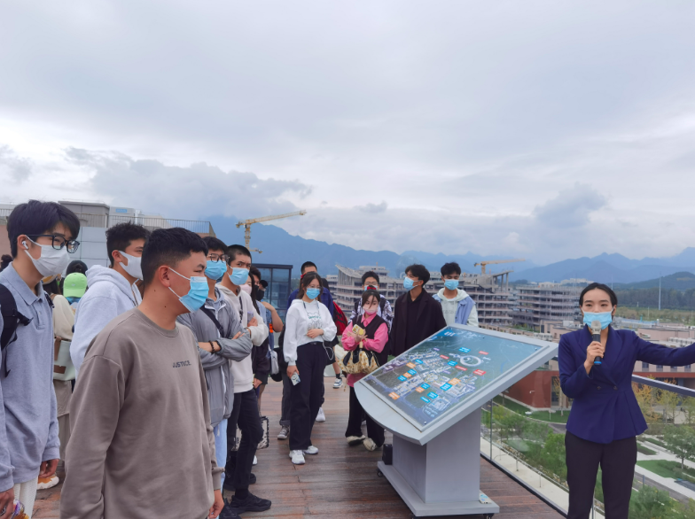 杭州喝茶攻略:从新手到老饕的20个宝藏茶馆