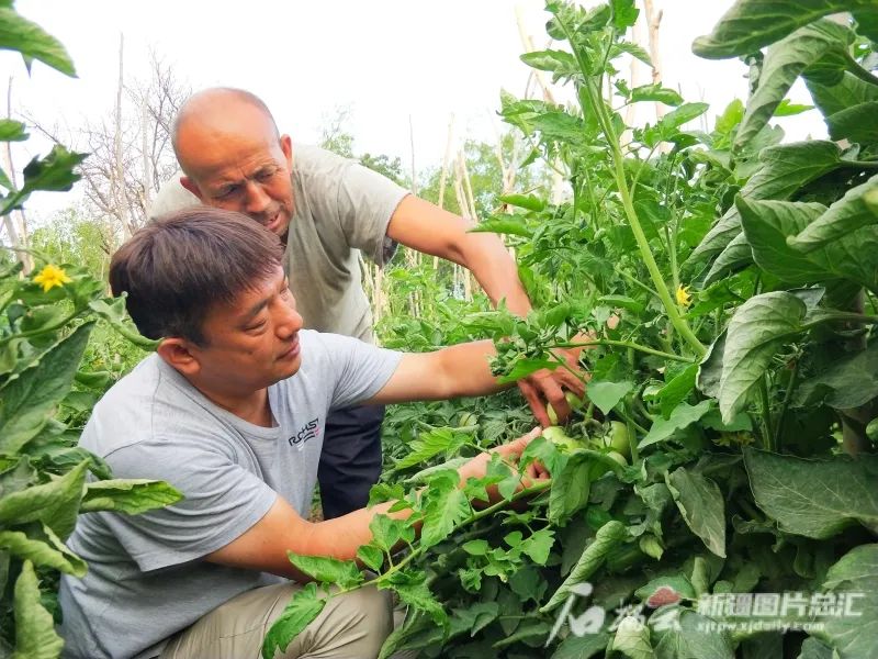“奋进新时代”主题成就展丨这面“我和我的亲戚”照片墙上 定格了哪些温情瞬间休闲区蓝鸢梦想 - Www.slyday.coM “奋进新时代”主题成就展丨这面“我和我的亲戚”照片墙上 定格了哪些温情瞬间休闲区蓝鸢梦想 - Www.slyday.coM