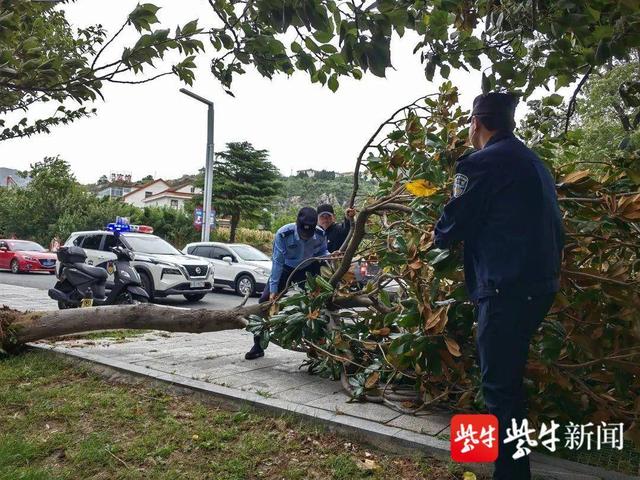 连云港公安:国庆假期,细数不期而遇的温暖瞬间……休闲区蓝鸢梦想 - Www.slyday.coM 连云港公安:国庆假期,细数不期而遇的温暖瞬间……休闲区蓝鸢梦想 - Www.slyday.coM