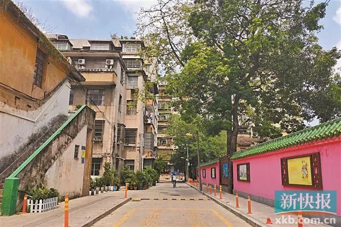 【我和我的广州】荔湾区电业社区:红砖绿瓦勒杜鹃 陆贾园里好倾偈