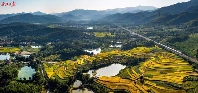 美醉了!肇庆最美秋色陆续上线,惊艳的风景都在这里了休闲区蓝鸢梦想 - Www.slyday.coM 美醉了!肇庆最美秋色陆续上线,惊艳的风景都在这里了休闲区蓝鸢梦想 - Www.slyday.coM