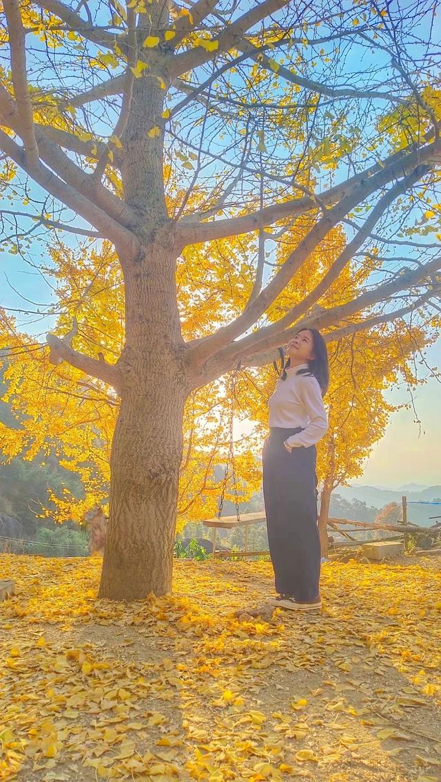 美醉了!肇庆最美秋色陆续上线,惊艳的风景都在这里了休闲区蓝鸢梦想 - Www.slyday.coM 美醉了!肇庆最美秋色陆续上线,惊艳的风景都在这里了休闲区蓝鸢梦想 - Www.slyday.coM