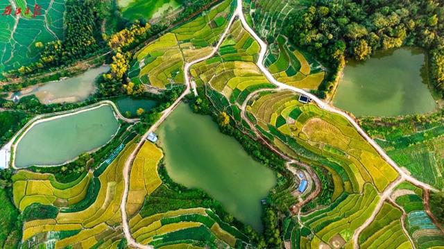 美醉了!肇庆最美秋色陆续上线,惊艳的风景都在这里了休闲区蓝鸢梦想 - Www.slyday.coM 美醉了!肇庆最美秋色陆续上线,惊艳的风景都在这里了休闲区蓝鸢梦想 - Www.slyday.coM