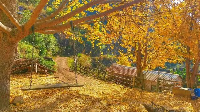 美醉了!肇庆最美秋色陆续上线,惊艳的风景都在这里了休闲区蓝鸢梦想 - Www.slyday.coM 美醉了!肇庆最美秋色陆续上线,惊艳的风景都在这里了休闲区蓝鸢梦想 - Www.slyday.coM