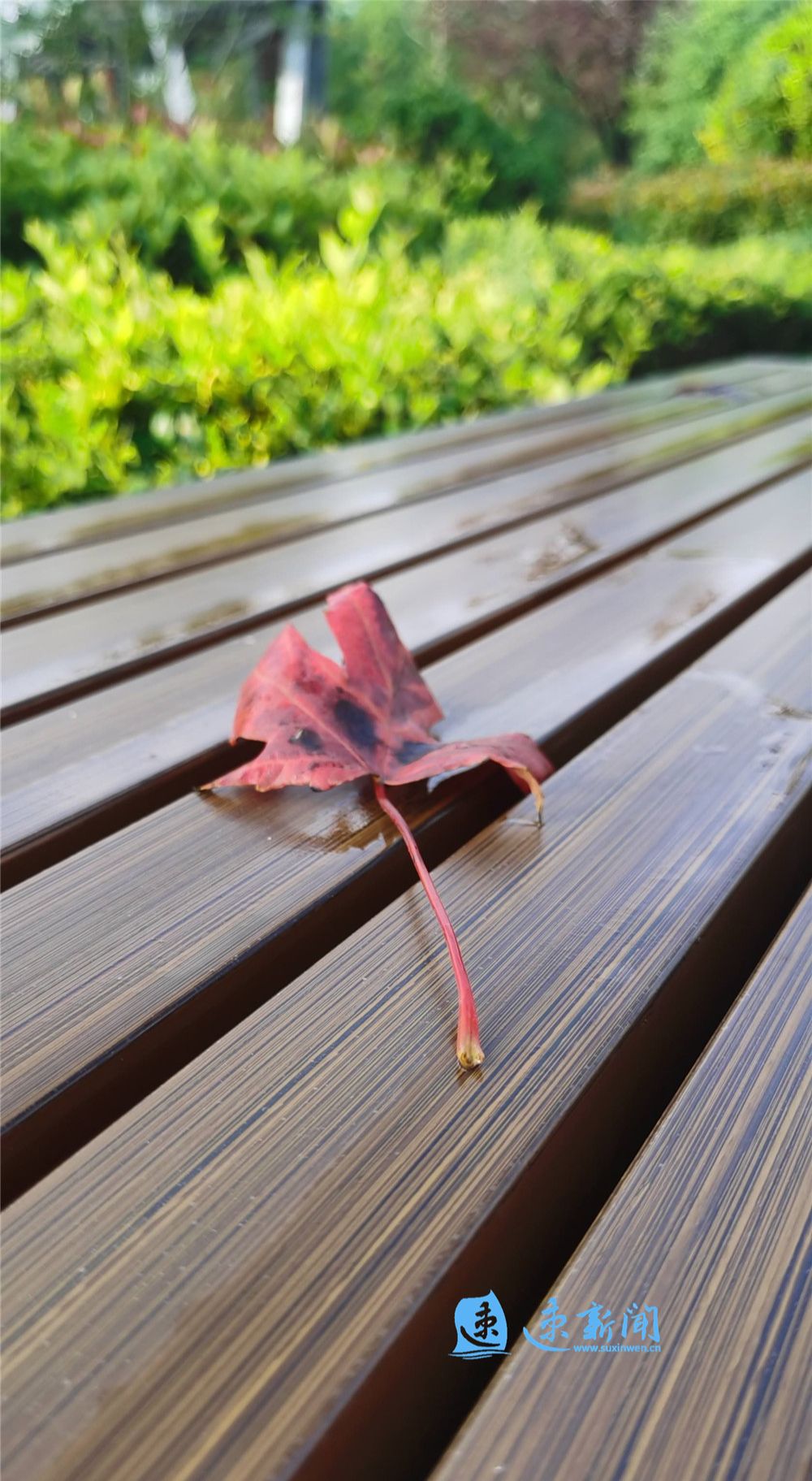 准备好了吗?新一波冷空气节后“上班”休闲区蓝鸢梦想 - Www.slyday.coM 准备好了吗?新一波冷空气节后“上班”休闲区蓝鸢梦想 - Www.slyday.coM