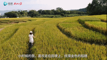 美醉了!肇庆最美秋色陆续上线,惊艳的风景都在这里了休闲区蓝鸢梦想 - Www.slyday.coM 美醉了!肇庆最美秋色陆续上线,惊艳的风景都在这里了休闲区蓝鸢梦想 - Www.slyday.coM