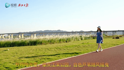 美醉了!肇庆最美秋色陆续上线,惊艳的风景都在这里了休闲区蓝鸢梦想 - Www.slyday.coM 美醉了!肇庆最美秋色陆续上线,惊艳的风景都在这里了休闲区蓝鸢梦想 - Www.slyday.coM