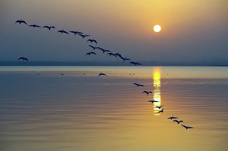 早安南京休闲区蓝鸢梦想 - Www.slyday.coM 早安南京休闲区蓝鸢梦想 - Www.slyday.coM