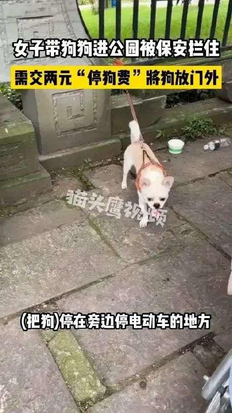 狗狗禁入公园被拦门外,主人为此支付“停狗费”…网友吵翻了休闲区蓝鸢梦想 - Www.slyday.coM 狗狗禁入公园被拦门外,主人为此支付“停狗费”…网友吵翻了休闲区蓝鸢梦想 - Www.slyday.coM