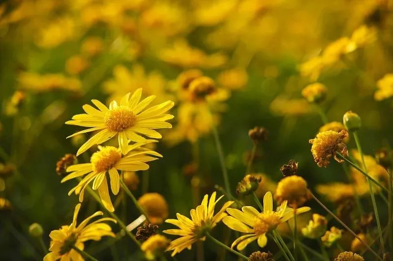 早安南京休闲区蓝鸢梦想 - Www.slyday.coM 早安南京休闲区蓝鸢梦想 - Www.slyday.coM