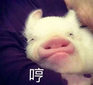 上海话里竟藏着20多道神秘美味!知道的人越来越少了…休闲区蓝鸢梦想 - Www.slyday.coM 上海话里竟藏着20多道神秘美味!知道的人越来越少了…休闲区蓝鸢梦想 - Www.slyday.coM