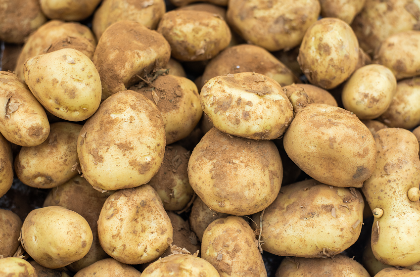 把主食换成它,三高降了、体重轻了、血管更健康!你还不知道?休闲区蓝鸢梦想 - Www.slyday.coM 把主食换成它,三高降了、体重轻了、血管更健康!你还不知道?休闲区蓝鸢梦想 - Www.slyday.coM