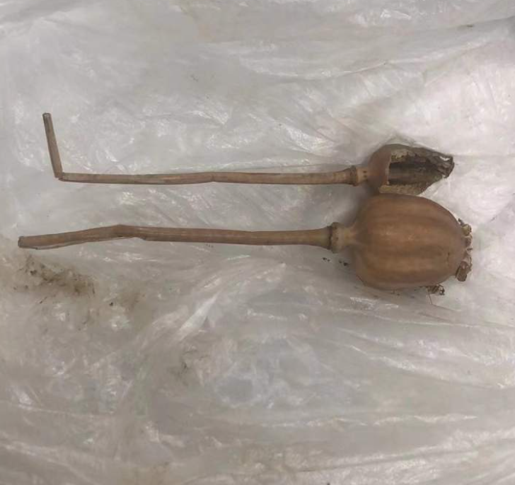 胃疼哪能吃这种东西?亲戚给的也不行啊!杭州东站查出一旅客竟然想携带它上车休闲区蓝鸢梦想 - Www.slyday.coM 胃疼哪能吃这种东西?亲戚给的也不行啊!杭州东站查出一旅客竟然想携带它上车休闲区蓝鸢梦想 - Www.slyday.coM