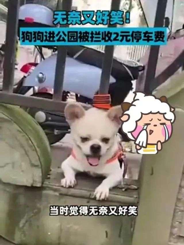 狗狗禁入公园被拦门外,主人为此支付“停狗费”…网友吵翻了休闲区蓝鸢梦想 - Www.slyday.coM 狗狗禁入公园被拦门外,主人为此支付“停狗费”…网友吵翻了休闲区蓝鸢梦想 - Www.slyday.coM