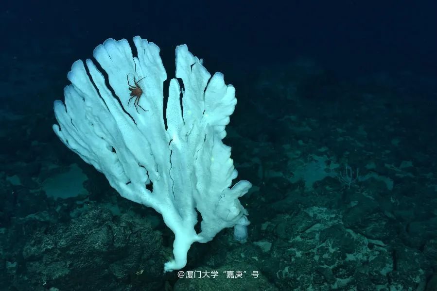 福建这所大学的“分校”开到了海上休闲区蓝鸢梦想 - Www.slyday.coM 福建这所大学的“分校”开到了海上休闲区蓝鸢梦想 - Www.slyday.coM