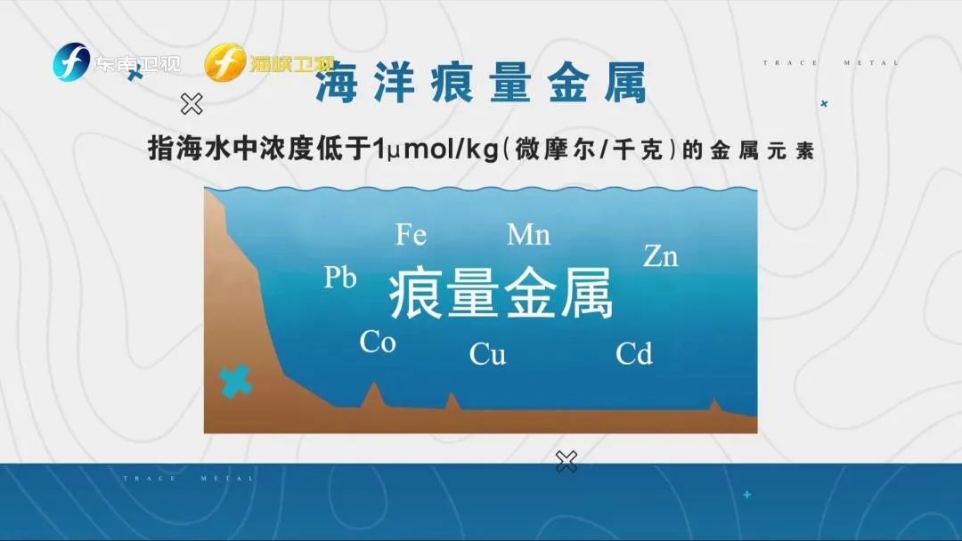 福建这所大学的“分校”开到了海上休闲区蓝鸢梦想 - Www.slyday.coM 福建这所大学的“分校”开到了海上休闲区蓝鸢梦想 - Www.slyday.coM