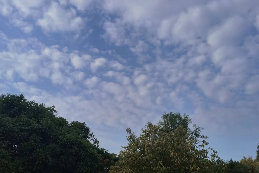 马上开始发力!杭州明天进入“新阶段”!再熬一天,好消息就来了...休闲区蓝鸢梦想 - Www.slyday.coM 马上开始发力!杭州明天进入“新阶段”!再熬一天,好消息就来了...休闲区蓝鸢梦想 - Www.slyday.coM