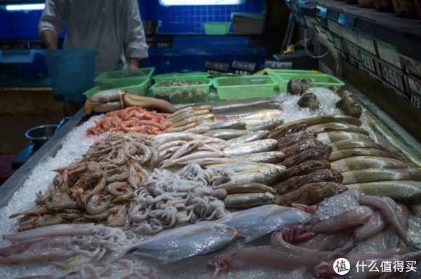 我的国庆是这样浪的,你们呢?休闲区蓝鸢梦想 - Www.slyday.coM 我的国庆是这样浪的,你们呢?休闲区蓝鸢梦想 - Www.slyday.coM