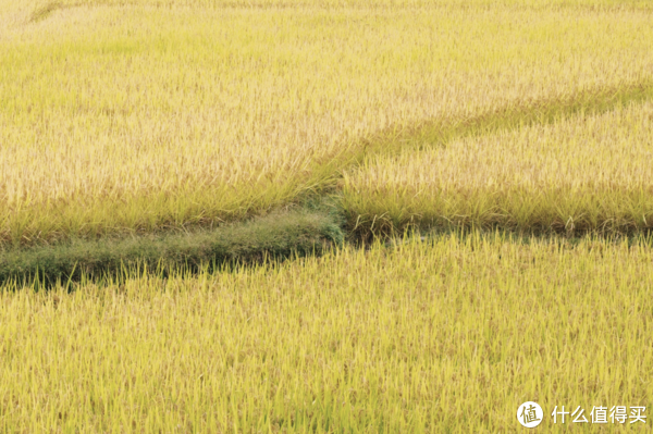 我的国庆是这样浪的,你们呢?休闲区蓝鸢梦想 - Www.slyday.coM 我的国庆是这样浪的,你们呢?休闲区蓝鸢梦想 - Www.slyday.coM
