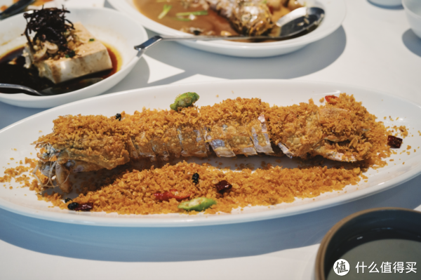 我的国庆是这样浪的,你们呢?休闲区蓝鸢梦想 - Www.slyday.coM 我的国庆是这样浪的,你们呢?休闲区蓝鸢梦想 - Www.slyday.coM