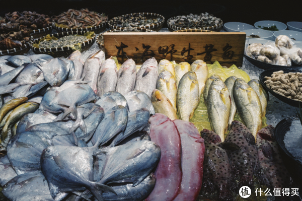 我的国庆是这样浪的,你们呢?休闲区蓝鸢梦想 - Www.slyday.coM 我的国庆是这样浪的,你们呢?休闲区蓝鸢梦想 - Www.slyday.coM